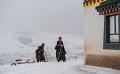 328 - COLD DAYS - LI PENG - china